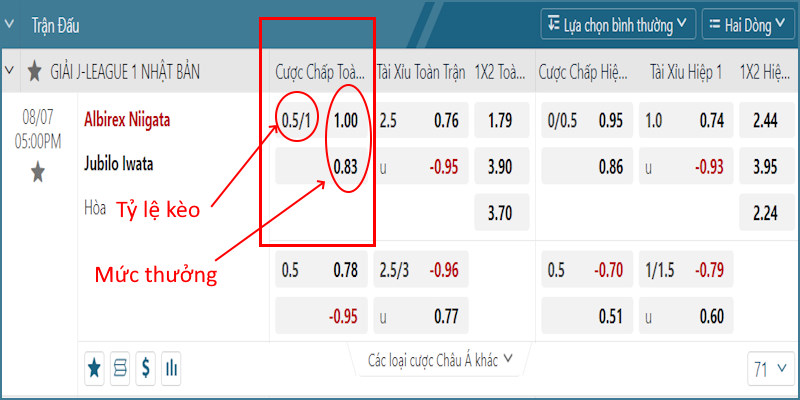 Ví dụ kèo HDP